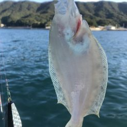 泉州丸さんでカワハギ