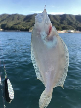 泉州丸さんでカワハギ