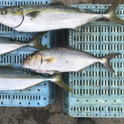 あたりは多いが