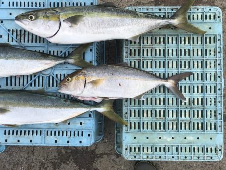 あたりは多いが