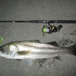 台風前のシーバス釣行