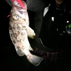 テキサスリグでクロソイ狙い