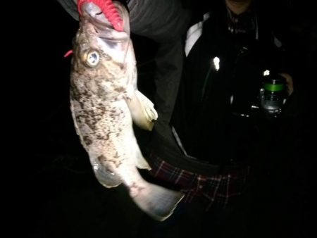 テキサスリグでクロソイ狙い