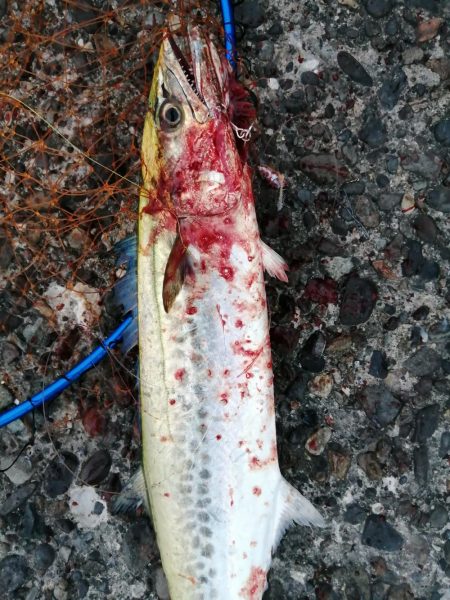 台風前のショアジギング