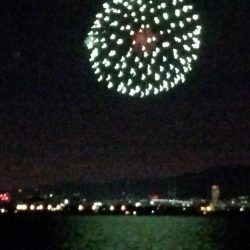 ひさびさのタッチー