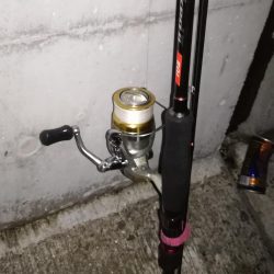 今季自己記録更新