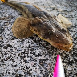 久しぶりの釣果です。