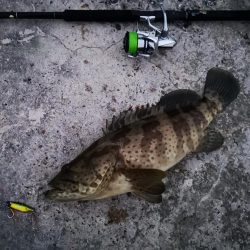 ジャックアイグロッキーでデカミーバイ