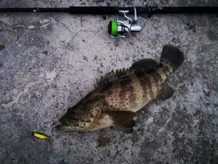 ジャックアイグロッキーでデカミーバイ