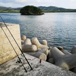 やっぱり釣れるジャックアイグロッキー