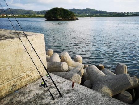 やっぱり釣れるジャックアイグロッキー