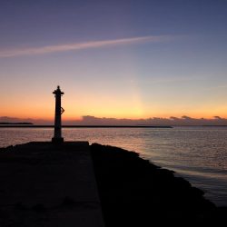 今朝も太刀魚、ジャックアイグロッキー