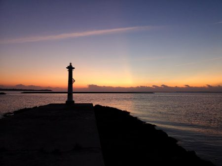 今朝も太刀魚、ジャックアイグロッキー