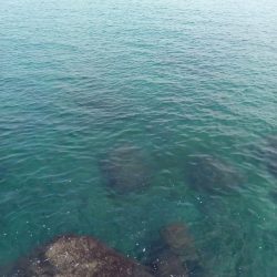 テトラランガン