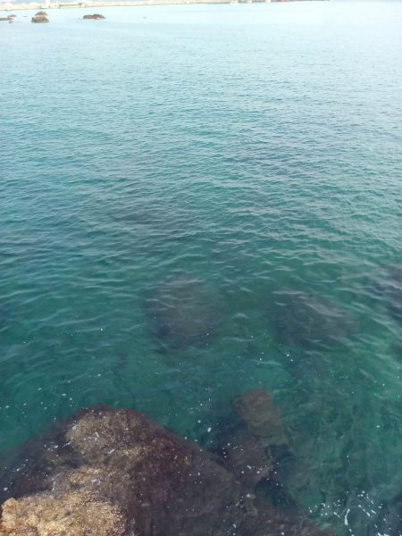 テトラランガン