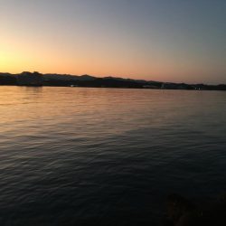 アジ12匹、メッキ1匹