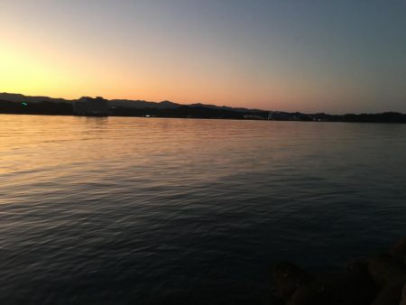 アジ12匹、メッキ1匹