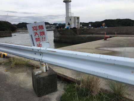 アジ78匹、ボラ1匹（50㎝）