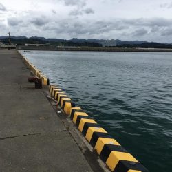 25㎝含むアジ6匹