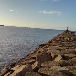 今年はいいサイズ