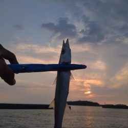 やっぱりかます。