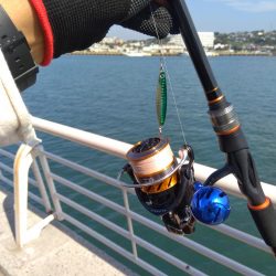 短時間でカマス