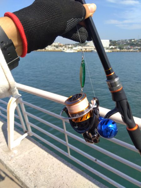 短時間でカマス