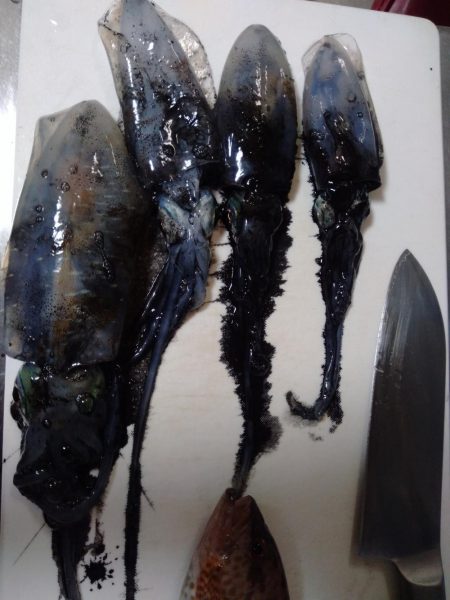 ヨルイカエギング