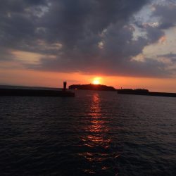 ライトショアジギング