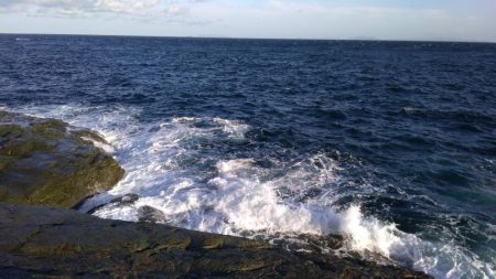 ハマチ75センチ