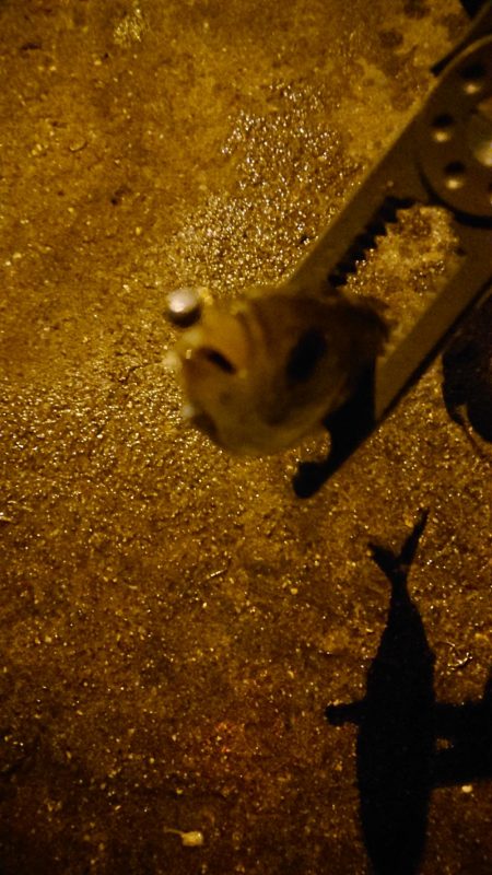 ラインメンディング