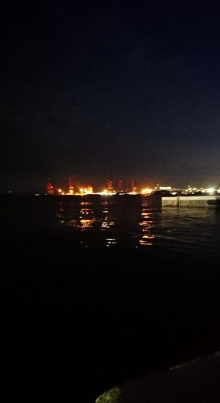 タチウオ少ない