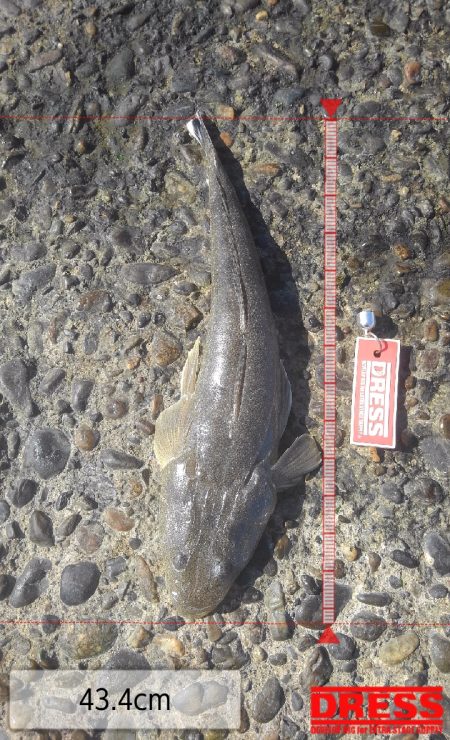 もう浮気はしませんm(._.)m