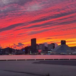 神戸サーべリングで苦戦〜牙狩り士