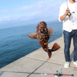 雨から逃げて淡路島