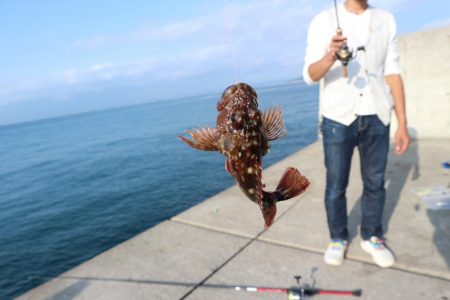雨から逃げて淡路島