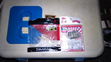 やとアジング連発する事が出来ました。