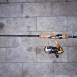 シーサイドコスモが釣れてると言う事で