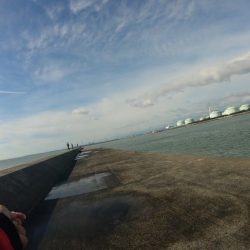 四日市　霞一文字提　ツバス