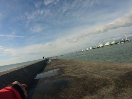 四日市　霞一文字提　ツバス