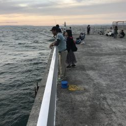 人工島で夕まずめ