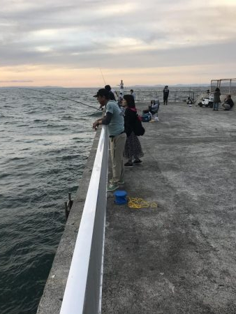 人工島で夕まずめ