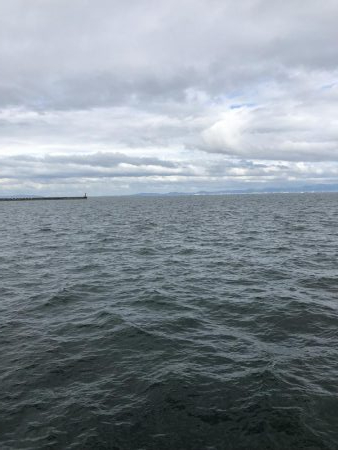 ツバスかなり減ってます