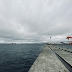 雨降らずガラガラ