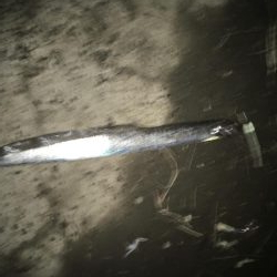 ガツン！が楽しい