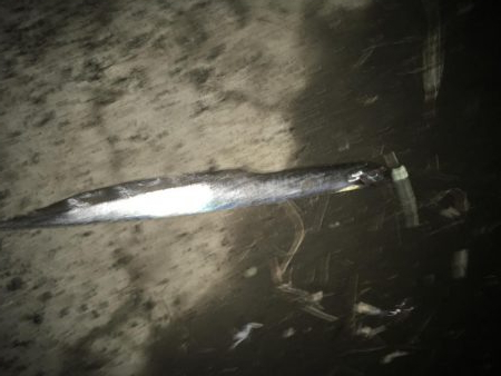 ガツン！が楽しい