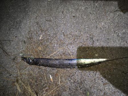 青物撃沈からの勝率100%の刀狩