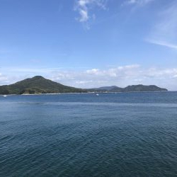 ライトショアジギング