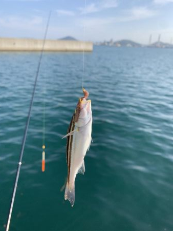 今年初の紀州釣り〜
