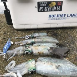 初、蒲入でエギング